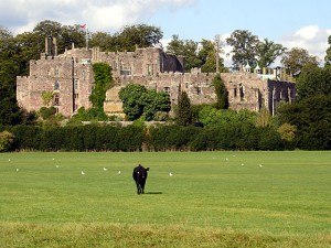 Berkeley_Castle_01