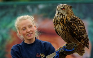Brit Wildlife Centre