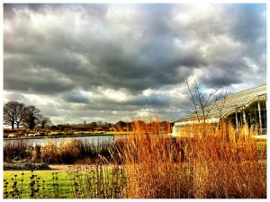 RHS Garden Wisley
