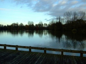 Ryton Pools