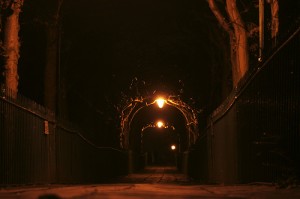 St Andrews Witches Tour