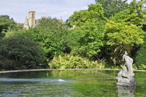 hidcote