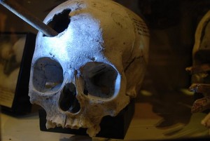 pitt rivers