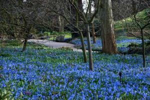 Kew - Herry Lawford