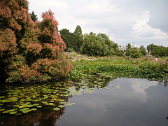Botanic Garden Cambridge