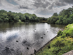 Gnoll