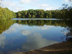 Hartsholme